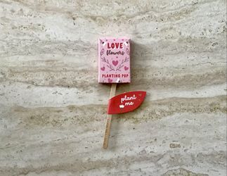 Love Flowers Planting Pop with Chamomile and Basel, New in Packaging