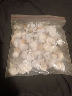 Seashells.