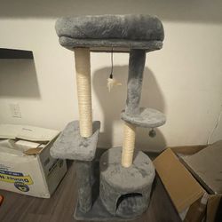 cat climber（cat house）