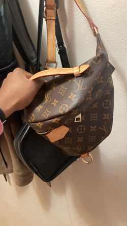 LV BUM BAG