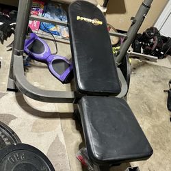Workout Bench 