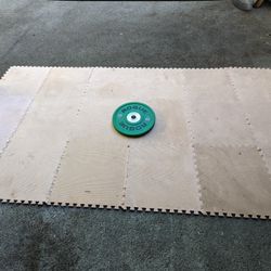 Gym Floor Tiles 2x2 (24 Tiles Total) 