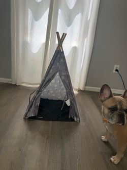 Pet Teepee Tent with Cushion