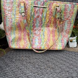 Brahmin Multi-colored Tote Bag