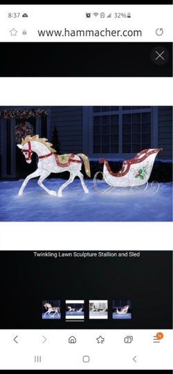 Christmas Stallion and sleigh