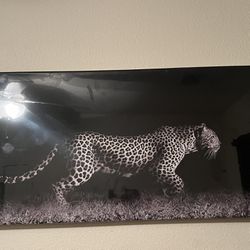Cheetah Canvas 