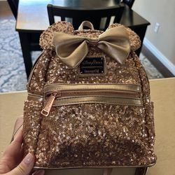 Rose gold Disney lounge fly