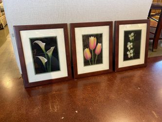 Framed Floral Prints with Textured Lining (Set of 3)