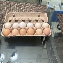Fresh/organic Eggs 