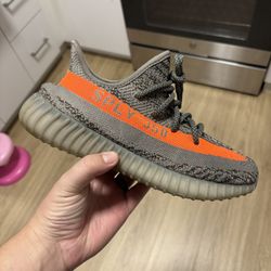 Adidas Yeezy Boost 350v2 Beluga