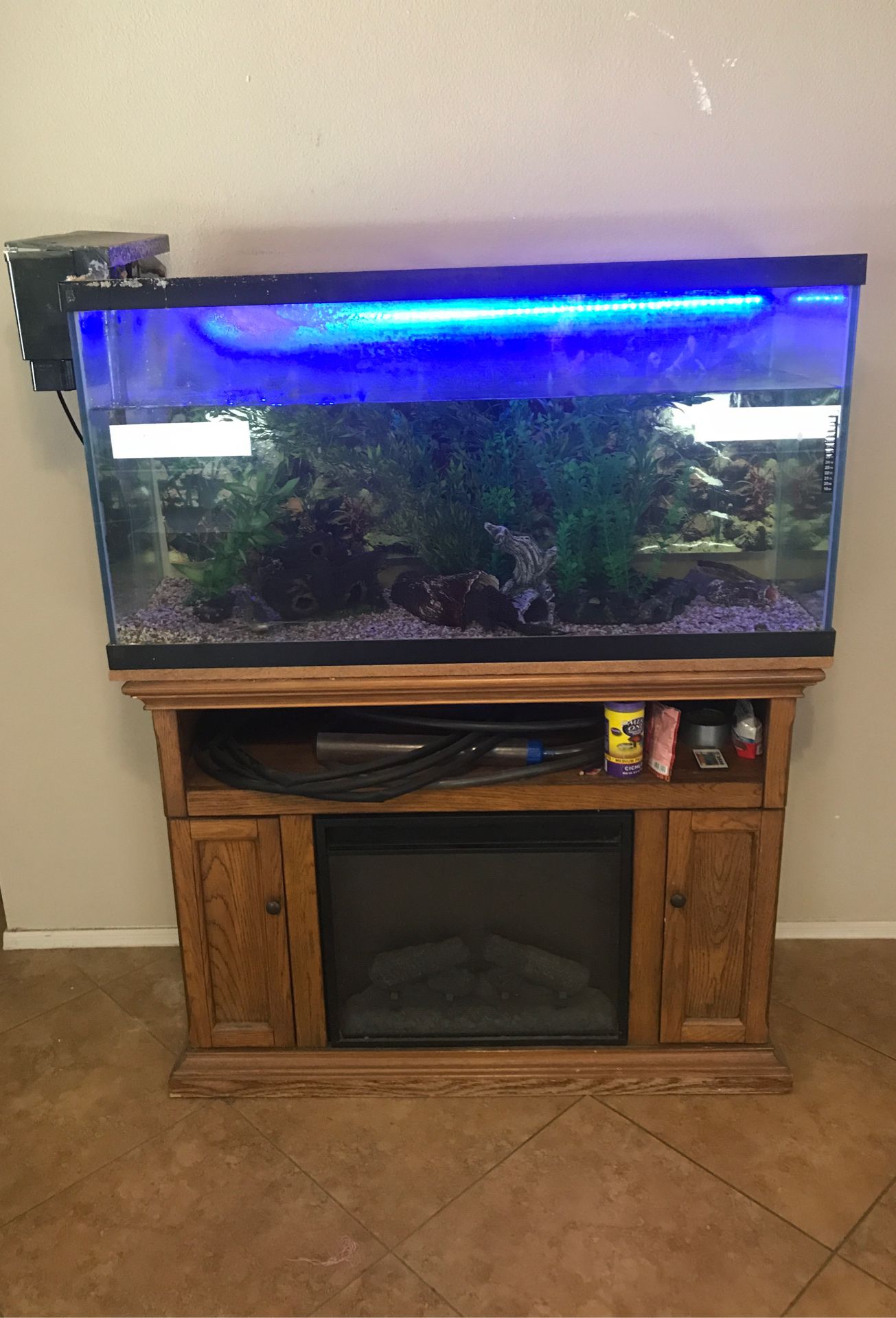 90 gallon fish tank with stand and fish