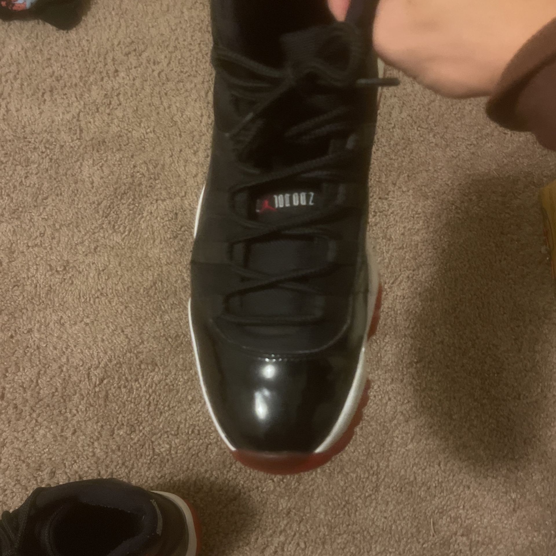 bred 11s for sale