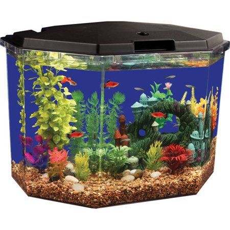 6.5 Gallon Fish Tank Aquarium Fishtank Semi Hex And Filter