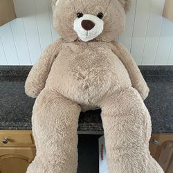 Giant Teddy Bear $20