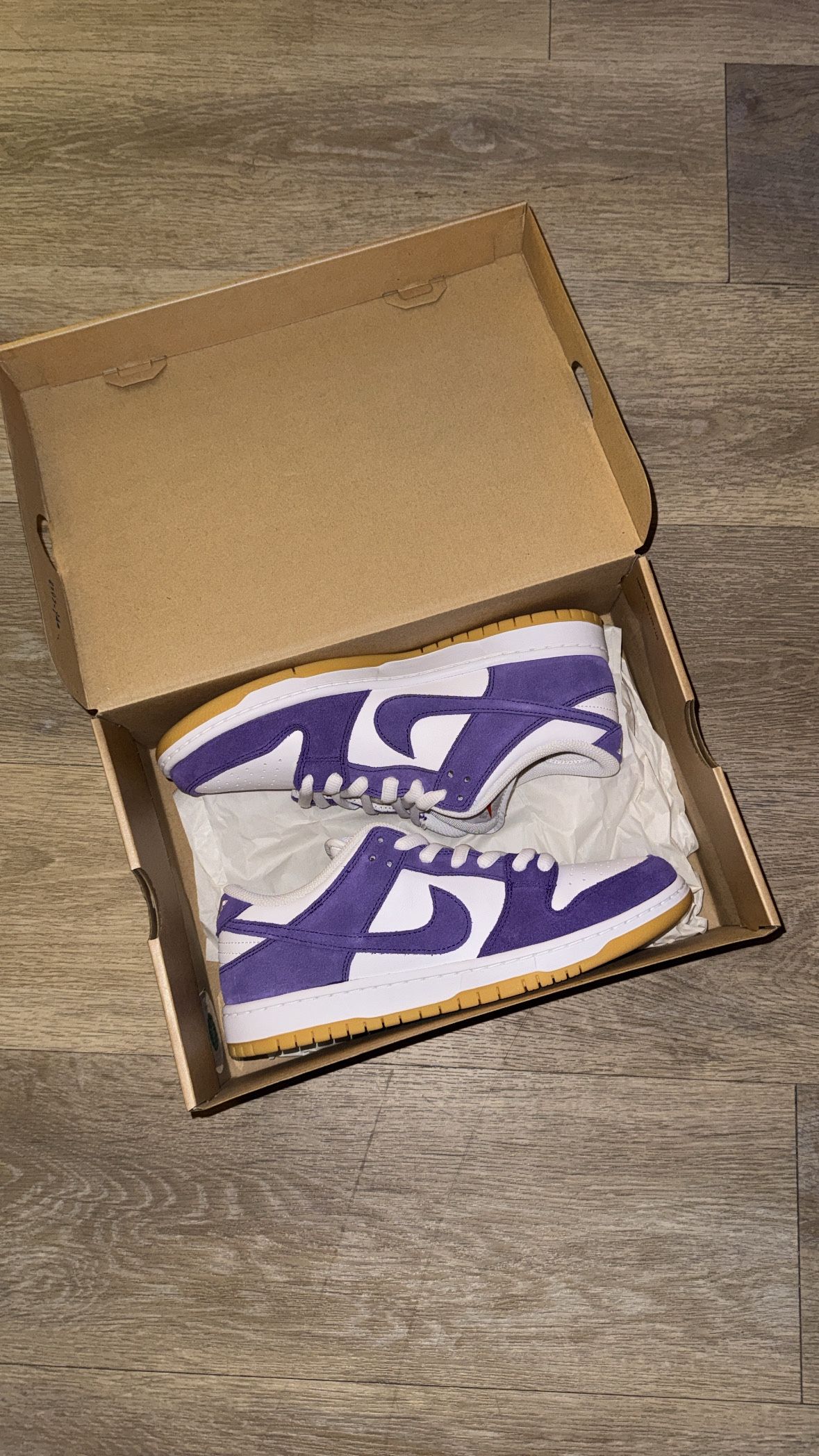 Nike sb Couple Purple ISO