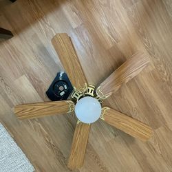 Ceiling Fan with Light