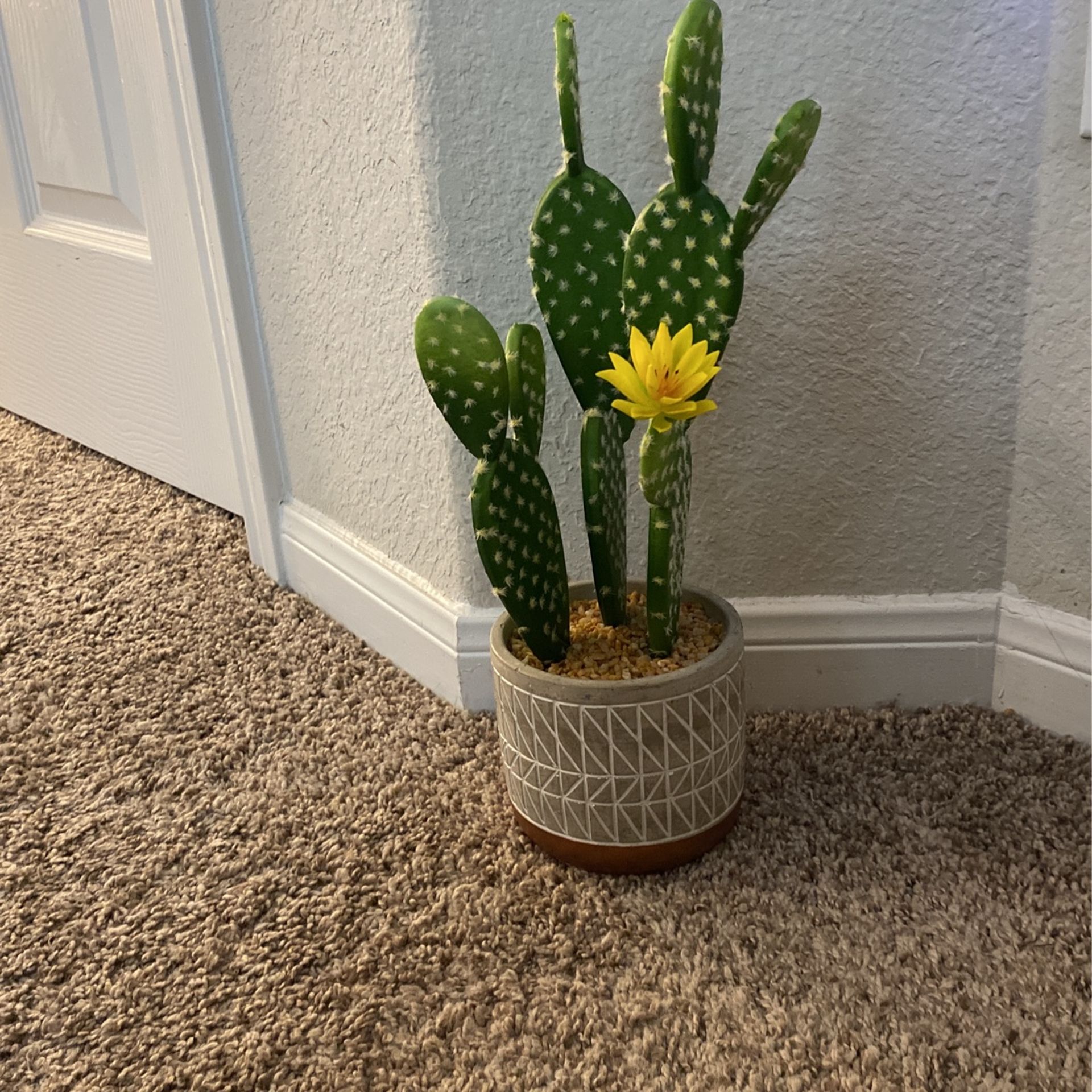Fake Cactus Plant 