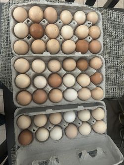 Chicken/Quail Eggs