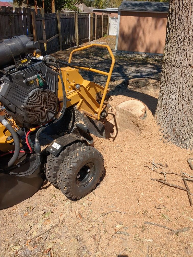 Stump Grinding
