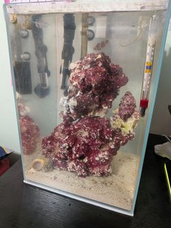 Rimless tank