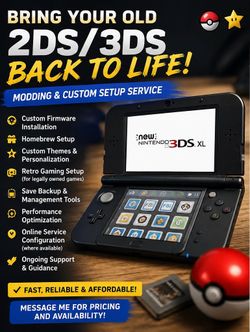 2DS/3DS Modding & Custom Setup Service