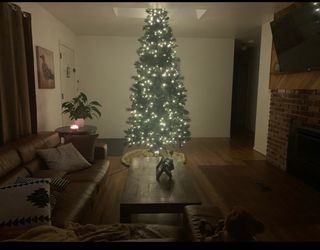 Pre lit Christmas tree