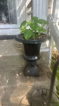 2 Cast iron urns perfect conditions 18 inches both for $150.00.