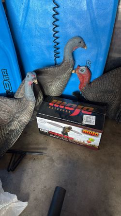 Turkey And Dove Decoy Set 