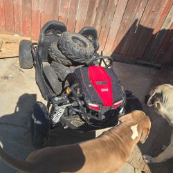 Coleman Gocarts 