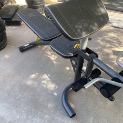 Adjustable Weight Bench With Preacher Curl And Leg Extension 