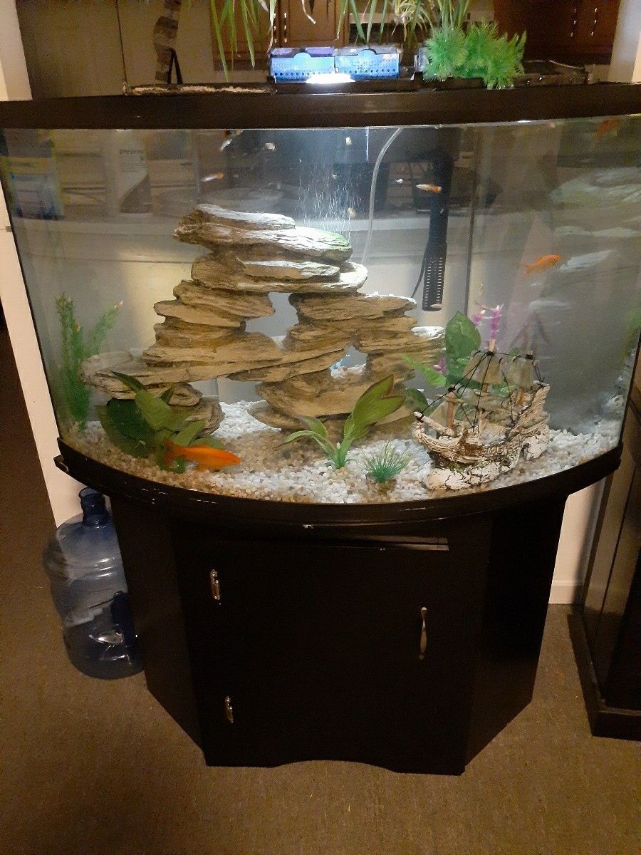 Fish Tank 55 Gallon