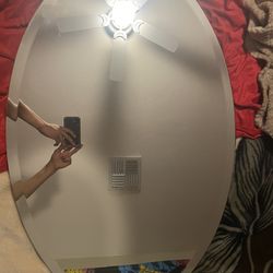 Oval Mirror 