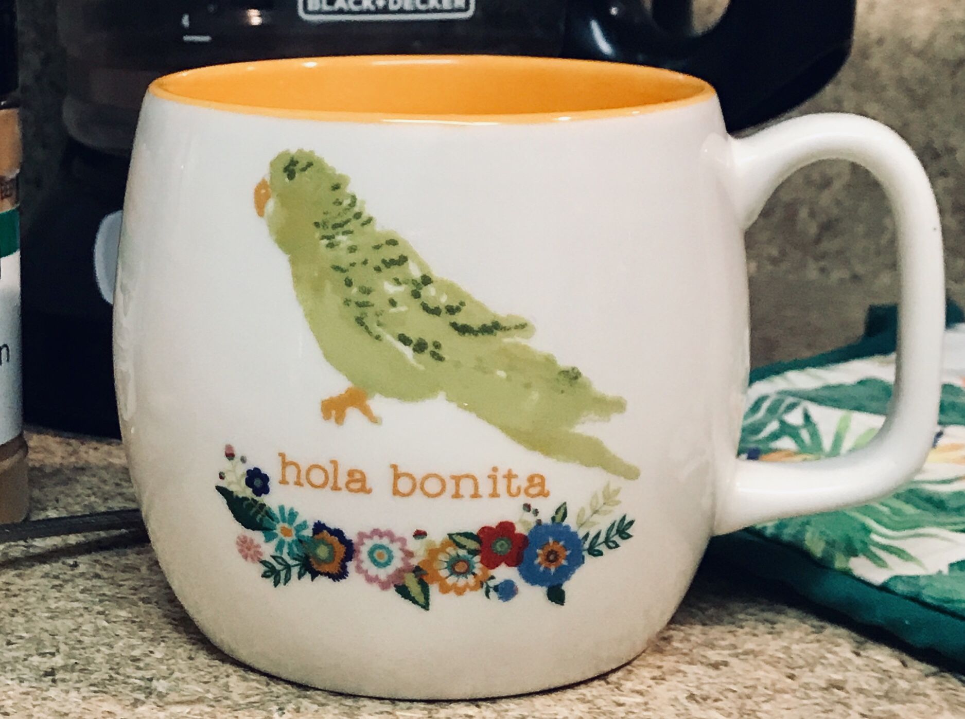 Opalhouse Parrot “Hola Bonita” Mug