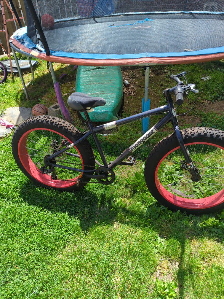 Mongoose Fat Tire Bike