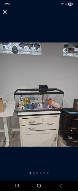 20 Gallon Fish Tank