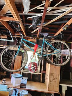 Schwinn Woodland Bicycle