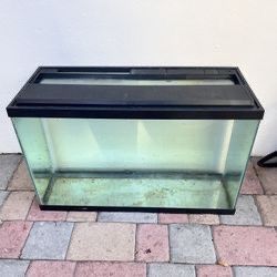 29 Gallon Fish Tank