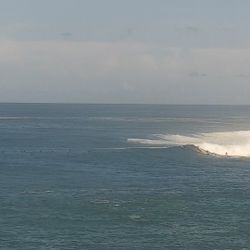 Surfboard Sale Trade Longboard Surfboards 