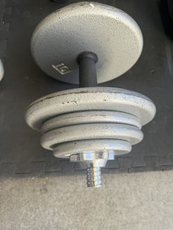 Two 50lb Weights