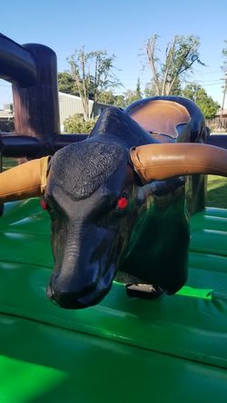 Pepe el toro