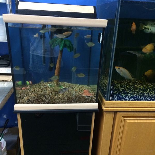 30 Gallon Oceanic Cube Aquarium Fish Tank Complete For In 200sold