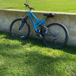 Mounted Bike