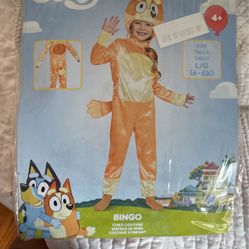 Bluey Bingo Costume