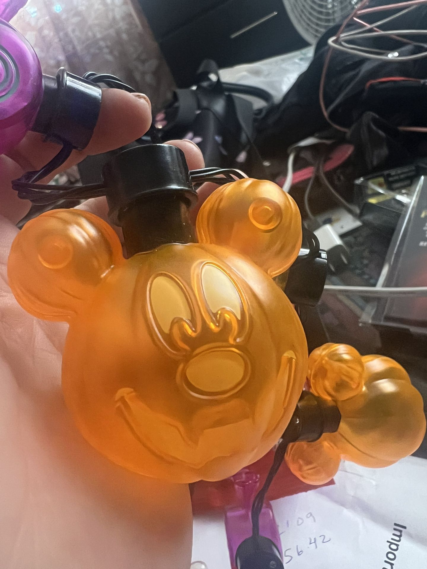 Serie De Calabaza