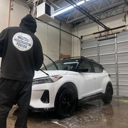 Professional Detail 