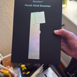 Hand Held Steamer