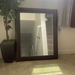 Mirror And Plant For 60