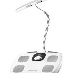 InBody Dial H30 Body Composition Scale | Smart Scale with BMI, Body Fat, Muscle Mass | Scale with App | Body Fat Measurement Device