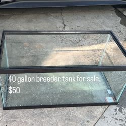 40 Gallon Breeder Fish Tank