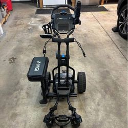 MGI Quad Electric Golf Cart